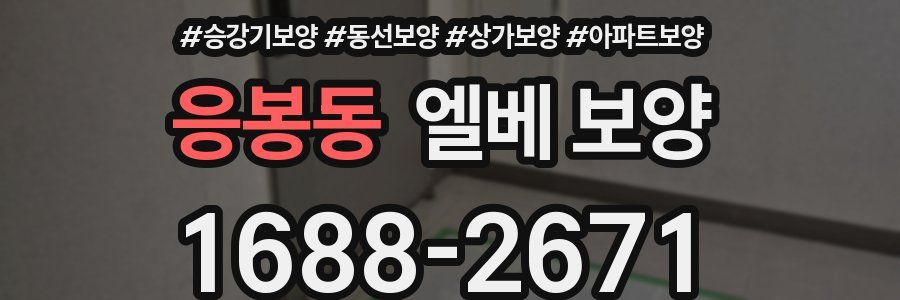 응봉동 엘베 보양