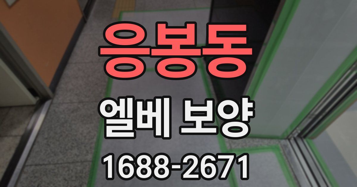 응봉동 엘베 보양