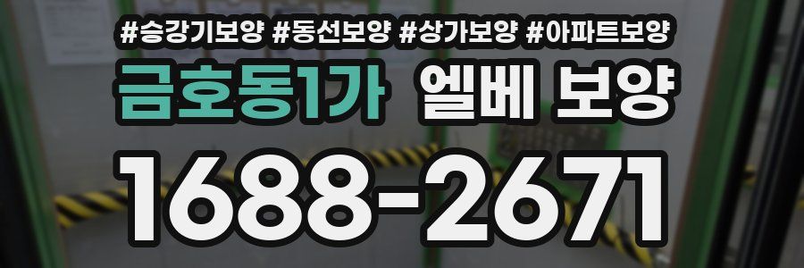 금호동1가 엘베 보양