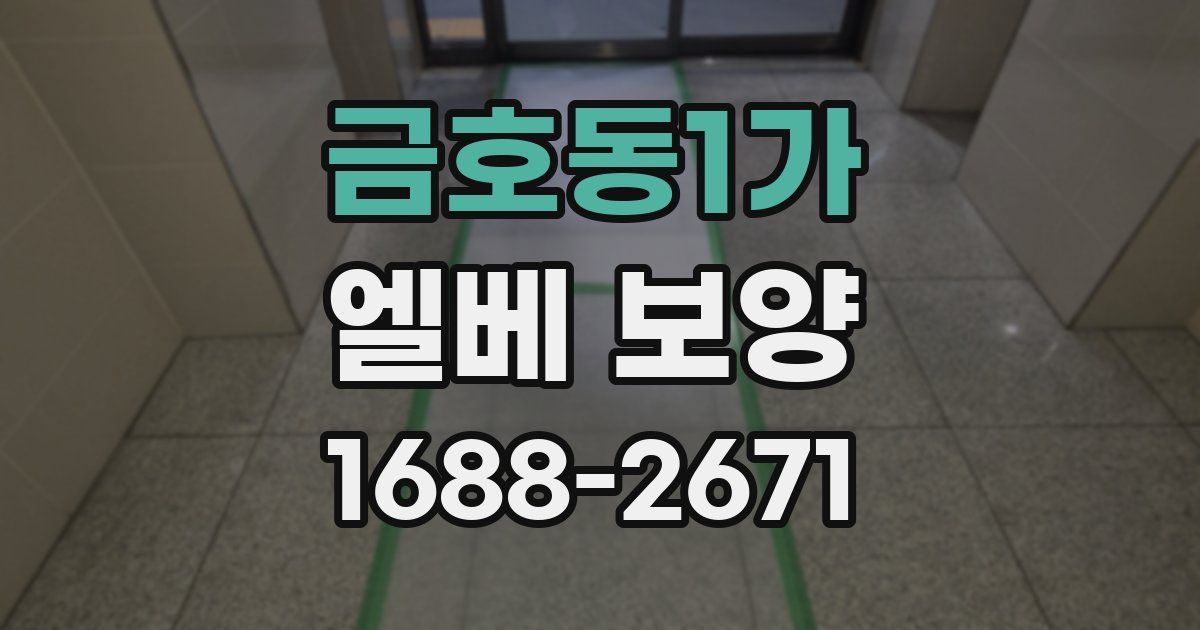 금호동1가 엘베 보양