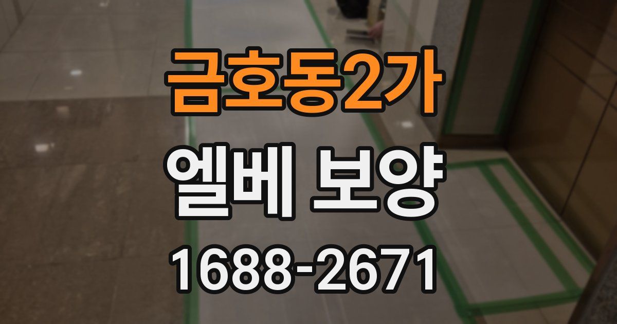 금호동2가 엘베 보양