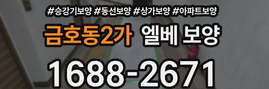 금호동2가 엘베 보양