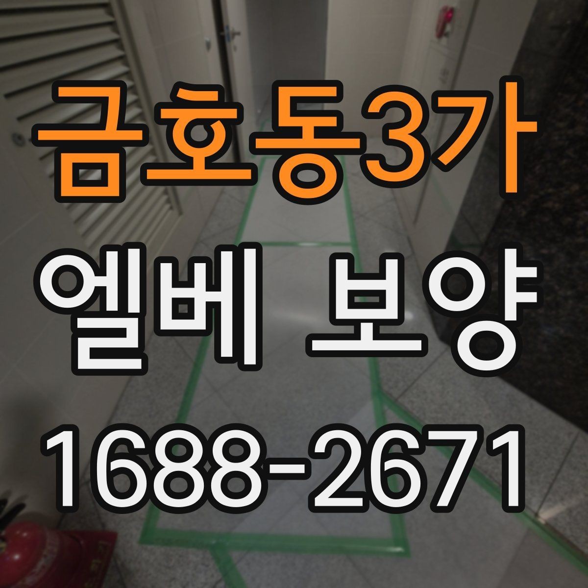 금호동3가 엘베 보양 습기 많은 계절에 접착력 점검이 중요한 까닭