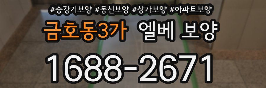 금호동3가 엘베 보양