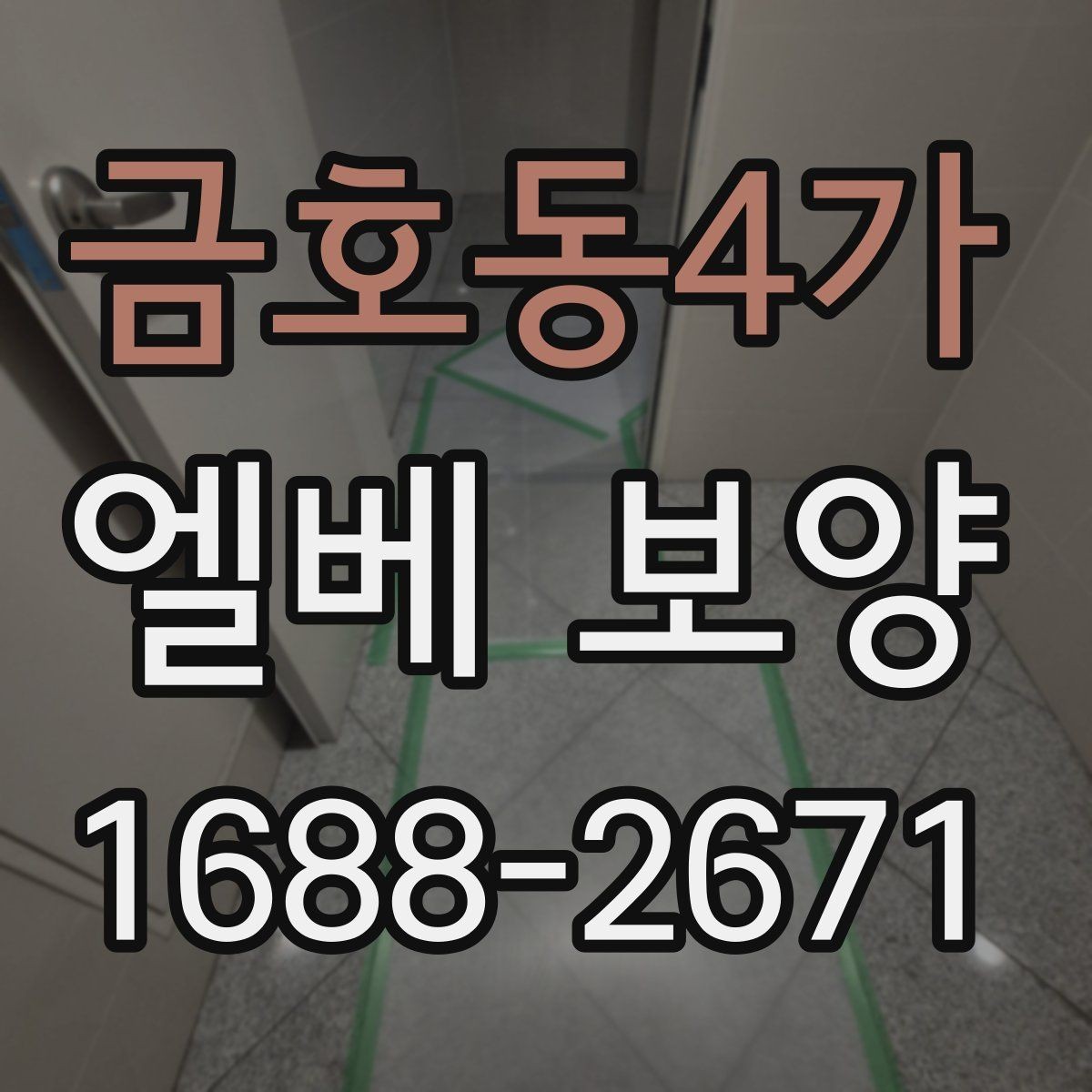 금호동4가 엘베 보양 공사 전후 꼭 챙길 구역 정리