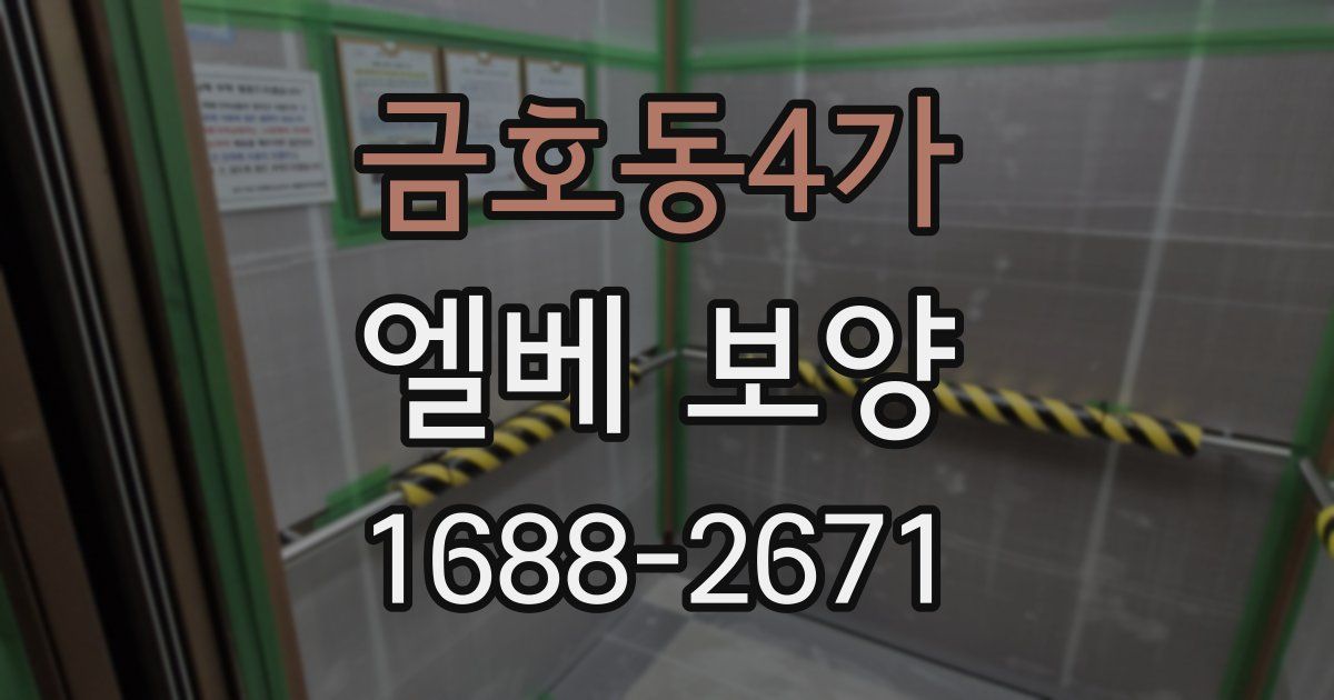 금호동4가 엘베 보양
