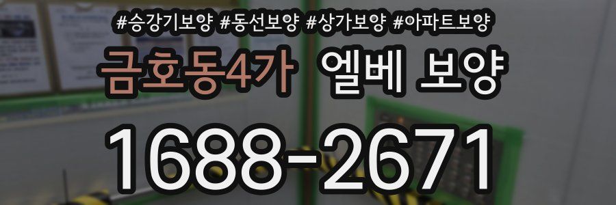 금호동4가 엘베 보양