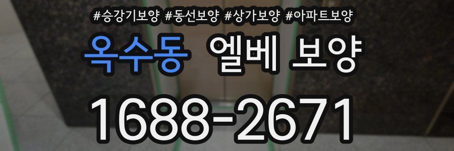 옥수동 엘베 보양