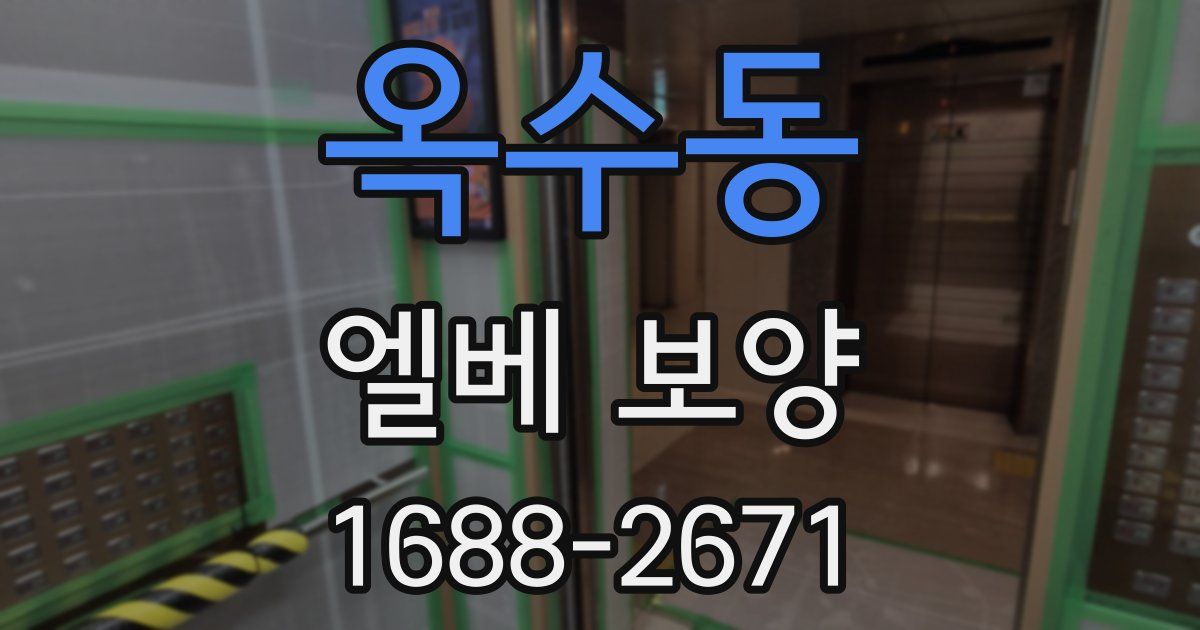 옥수동 엘베 보양