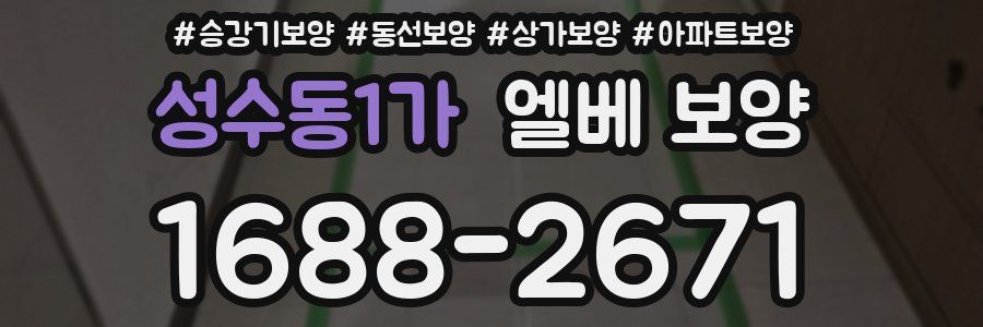 성수동1가 엘베 보양