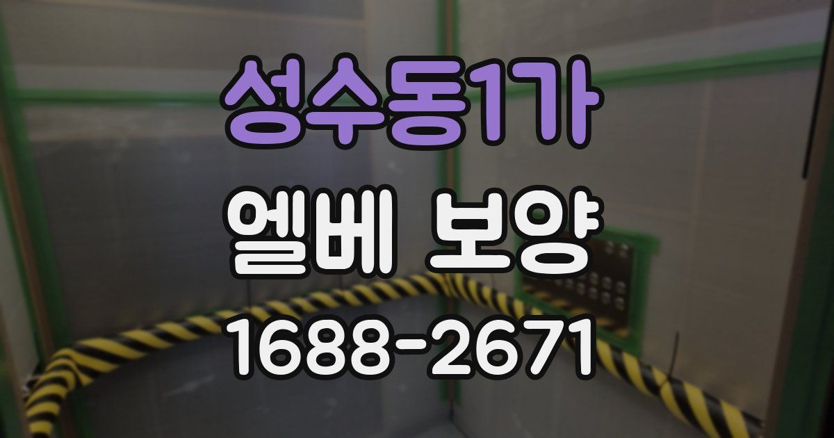 성수동1가 엘베 보양