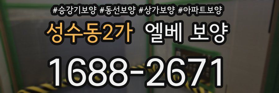성수동2가 엘베 보양