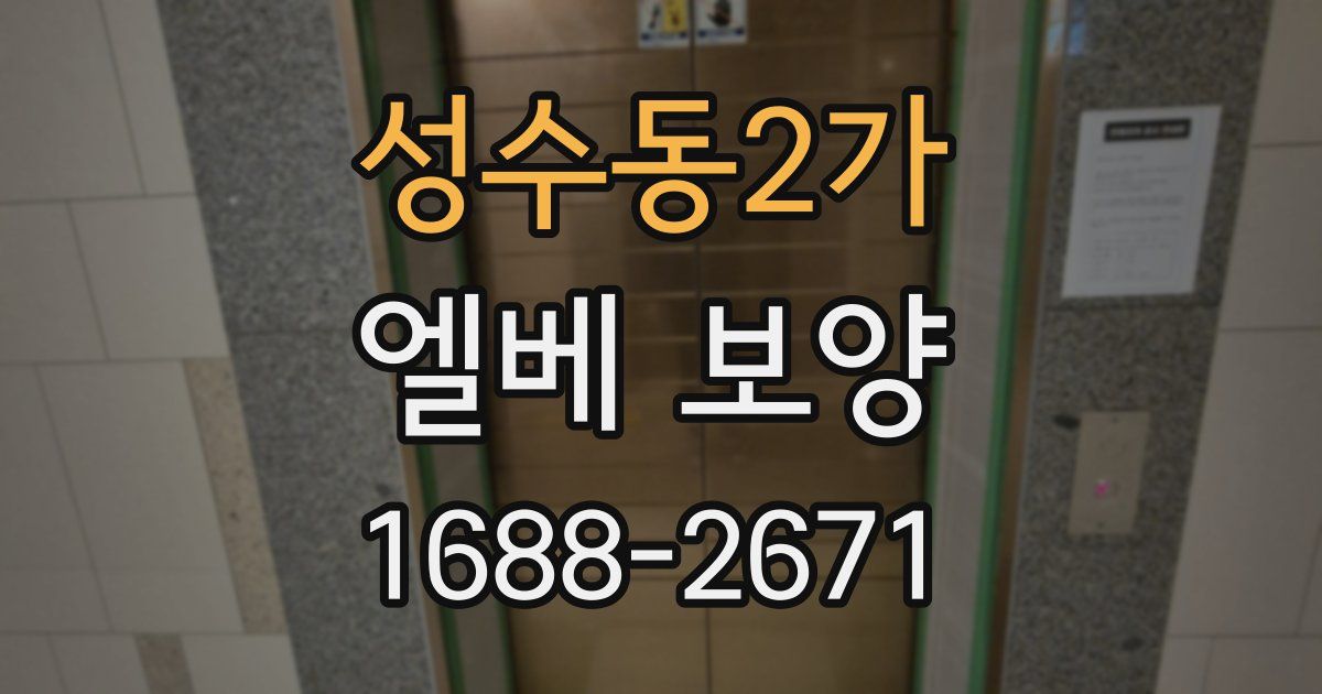 성수동2가 엘베 보양