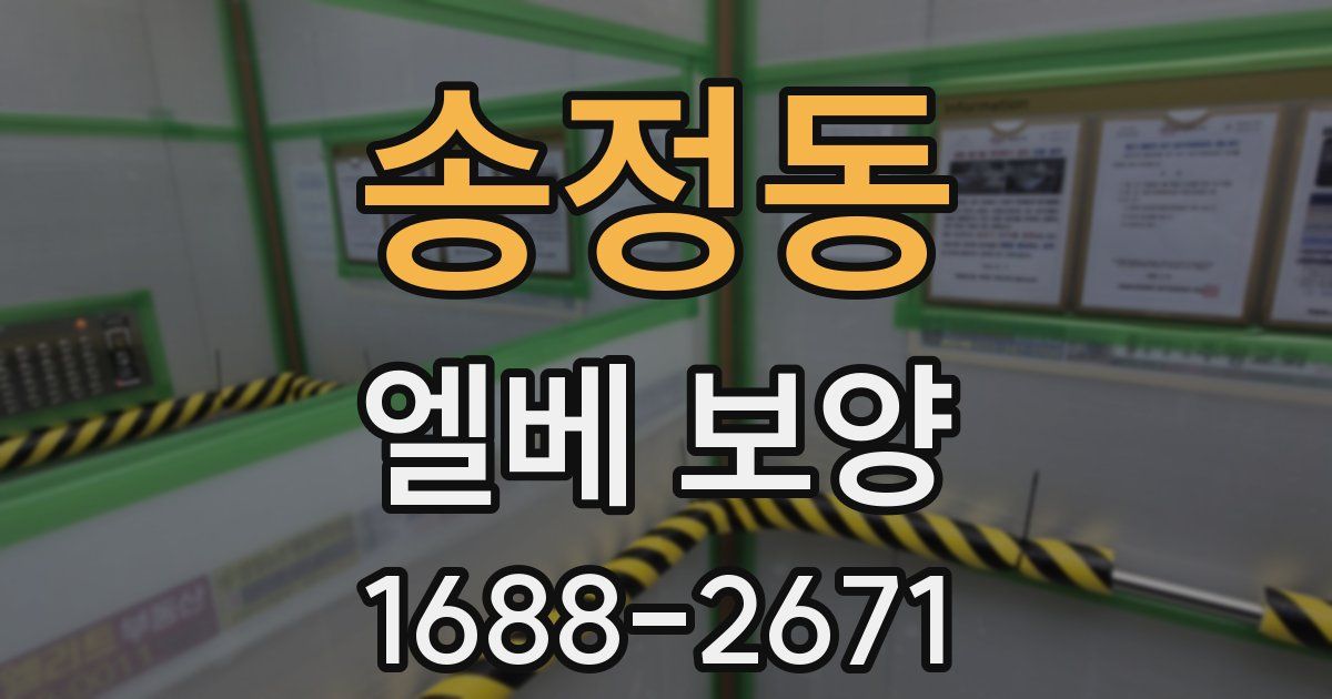 송정동 엘베 보양