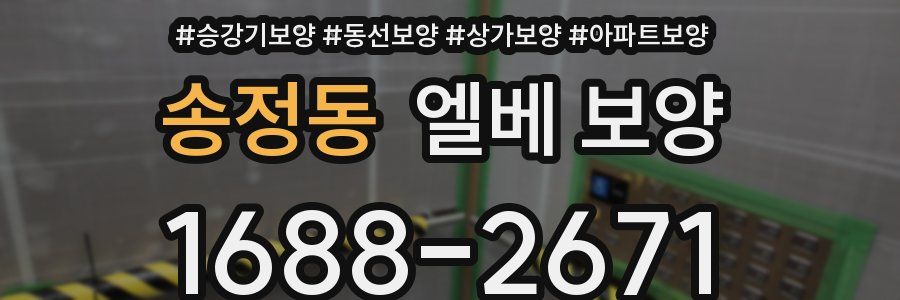 송정동 엘베 보양