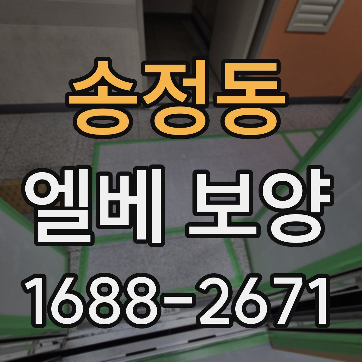 송정동 엘베 보양