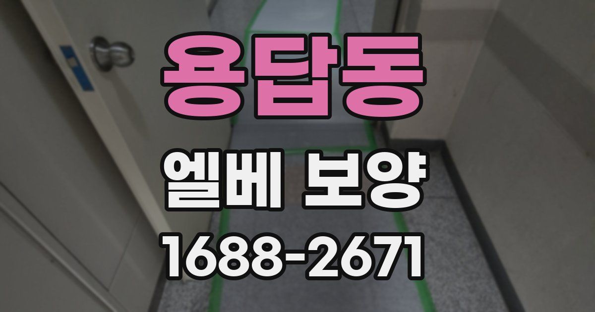 용답동 엘베 보양