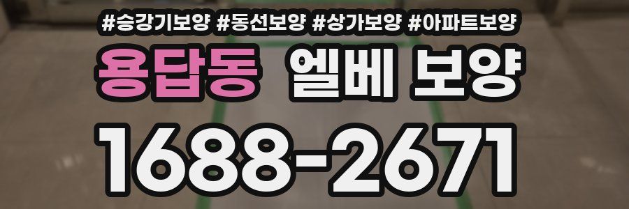 용답동 엘베 보양
