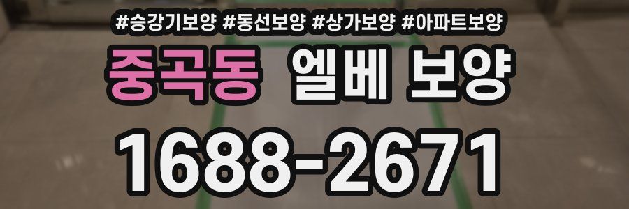 중곡동 엘베 보양