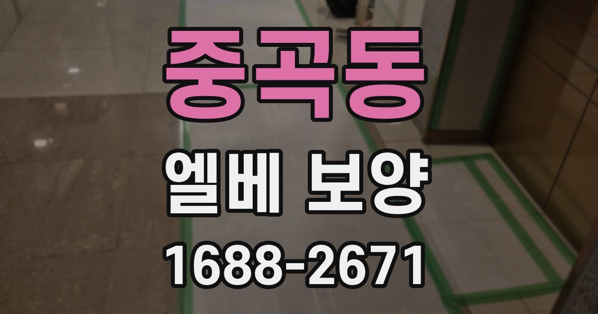 중곡동 엘베 보양