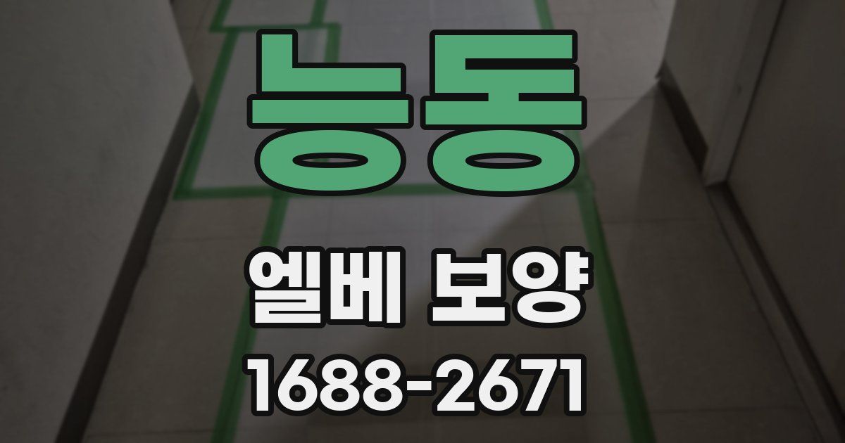 능동 엘베 보양
