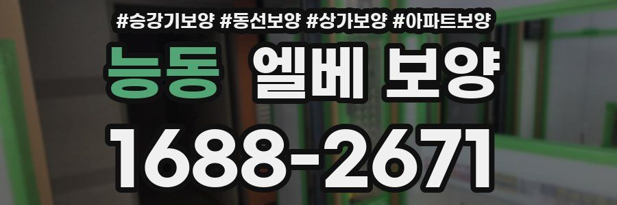 능동 엘베 보양