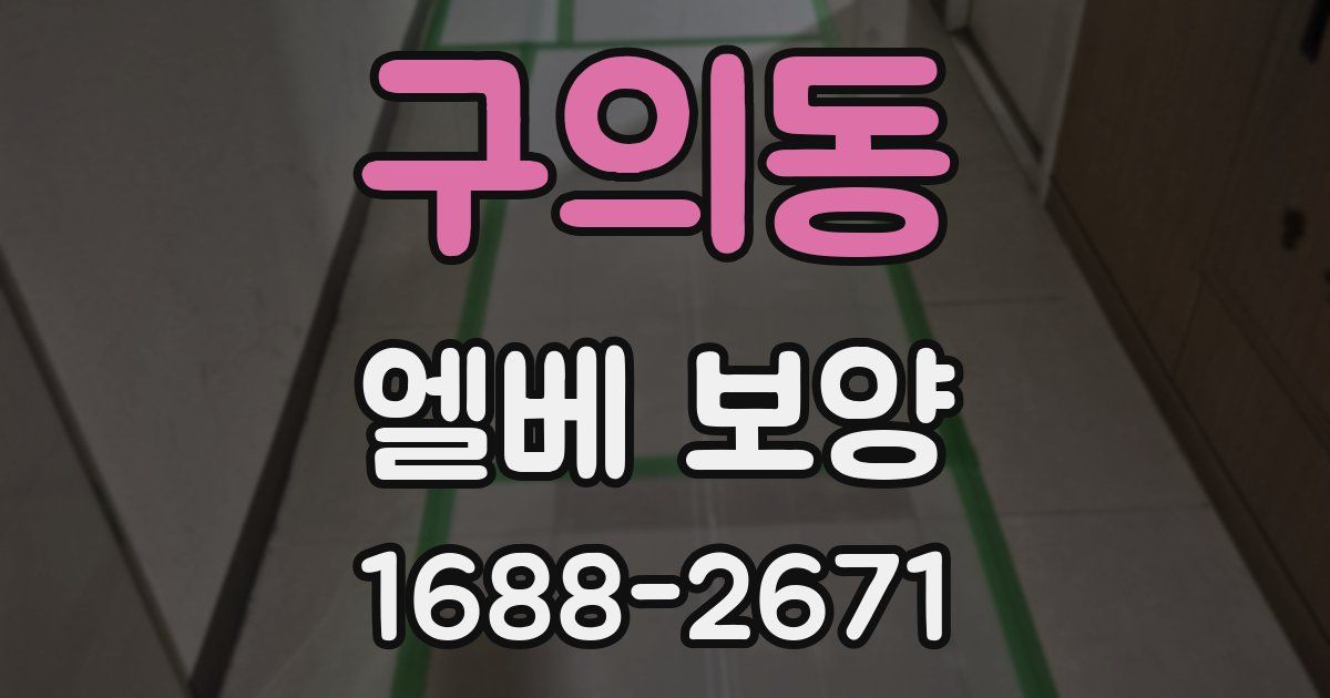 구의동 엘베 보양