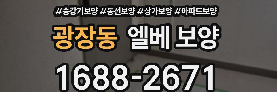 광장동 엘베 보양