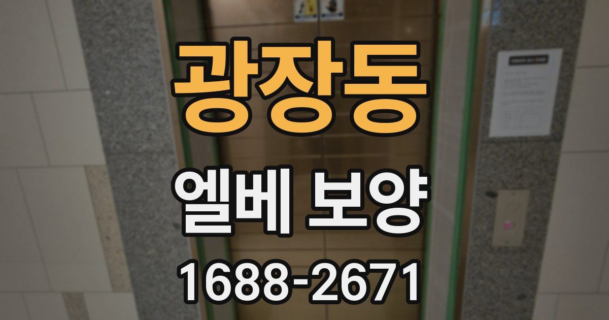 광장동 엘베 보양