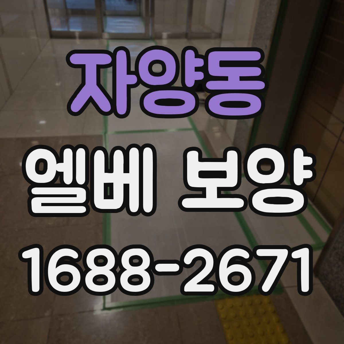자양동 엘베 보양 비가 잦은 시기 오염 번짐을 막는 요령