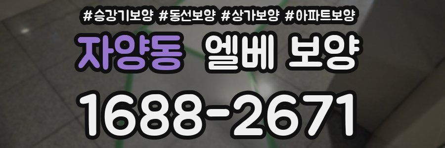 자양동 엘베 보양
