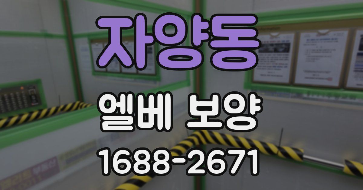 자양동 엘베 보양