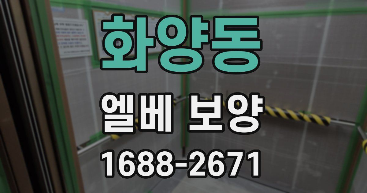 화양동 엘베 보양