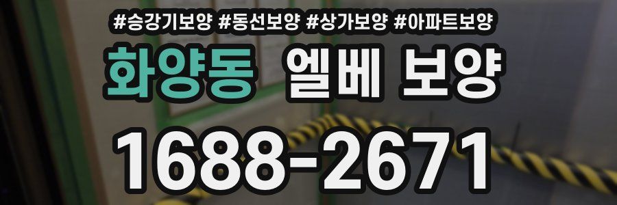 화양동 엘베 보양