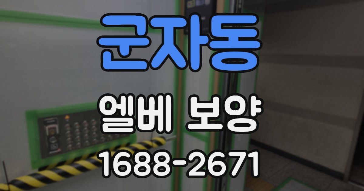 군자동 엘베 보양