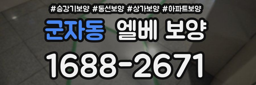 군자동 엘베 보양