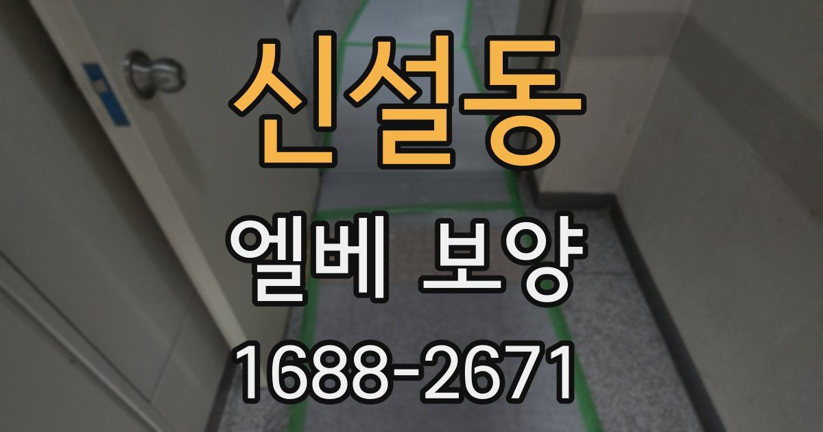 신설동 엘베 보양