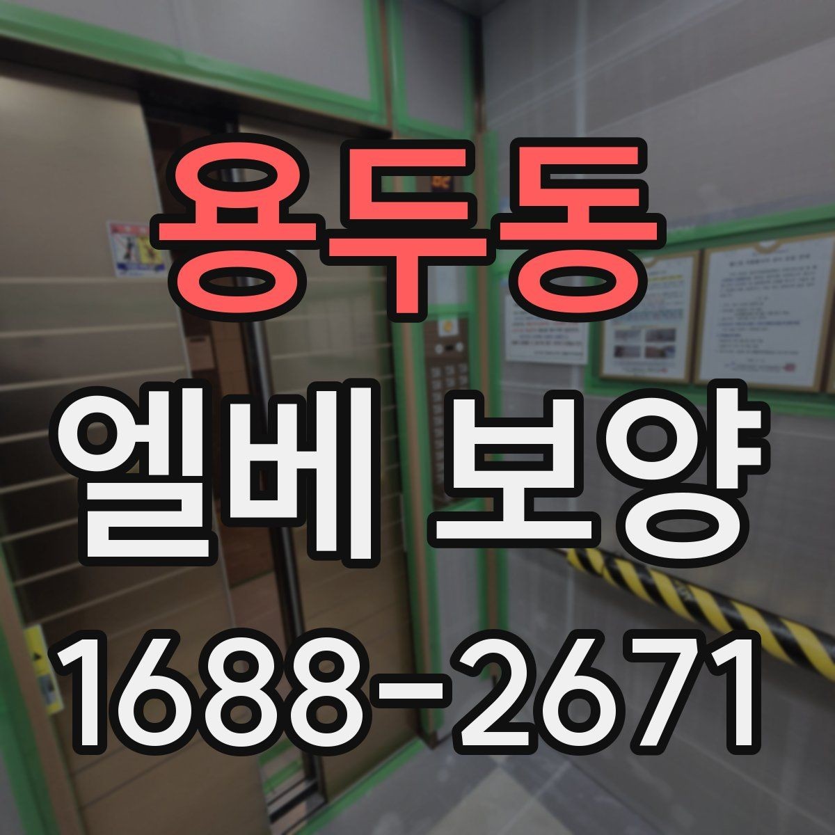 용두동 엘베 보양 훼손 흔적 점검과 정리 방법