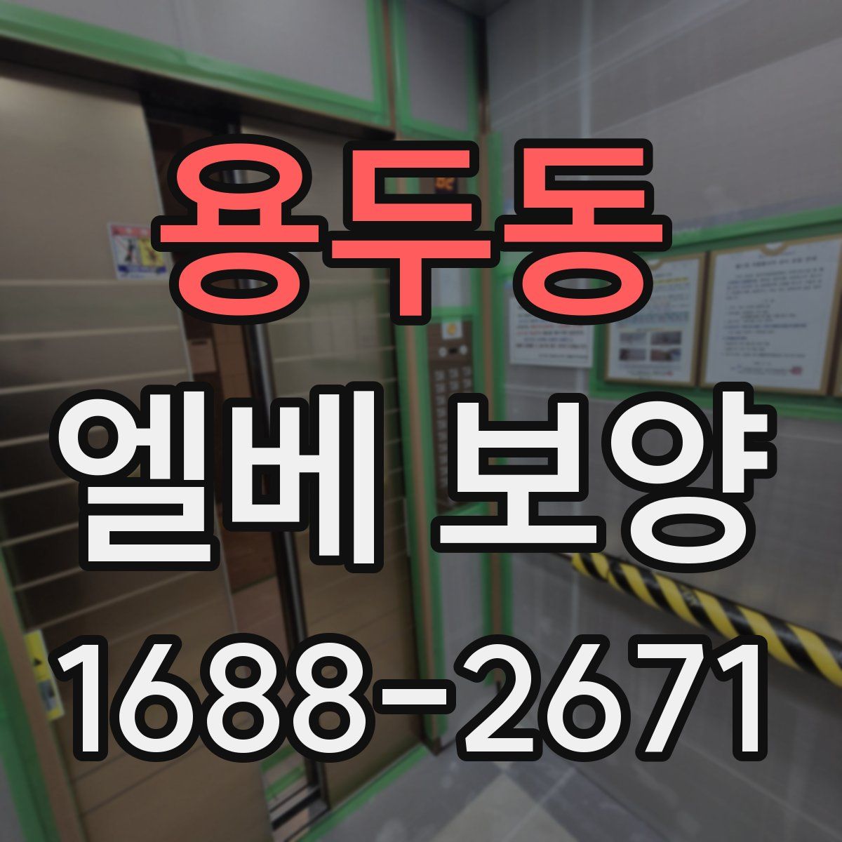 용두동 엘베 보양