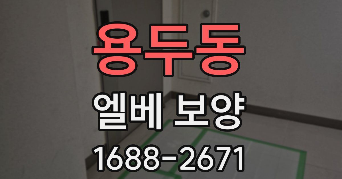 용두동 엘베 보양