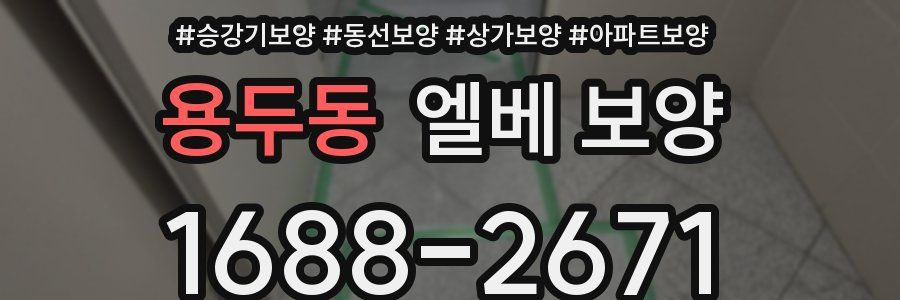 용두동 엘베 보양