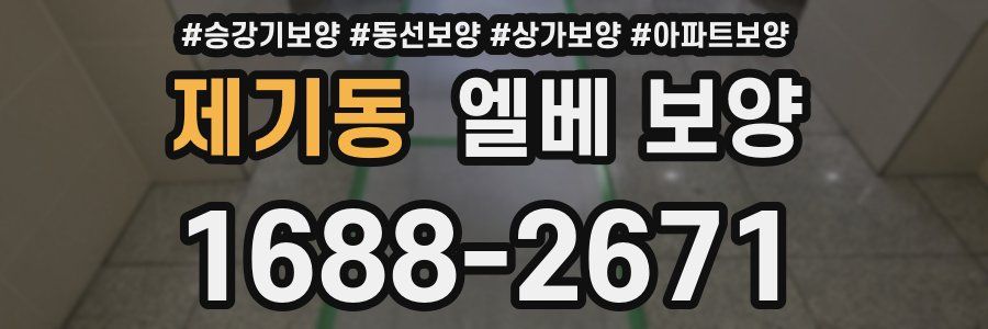 제기동 엘베 보양