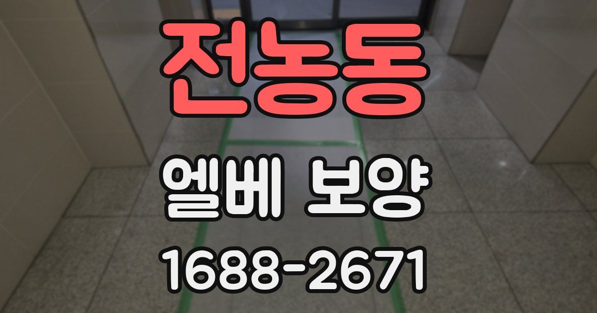 전농동 엘베 보양