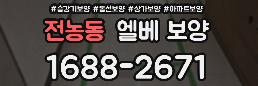 전농동 엘베 보양