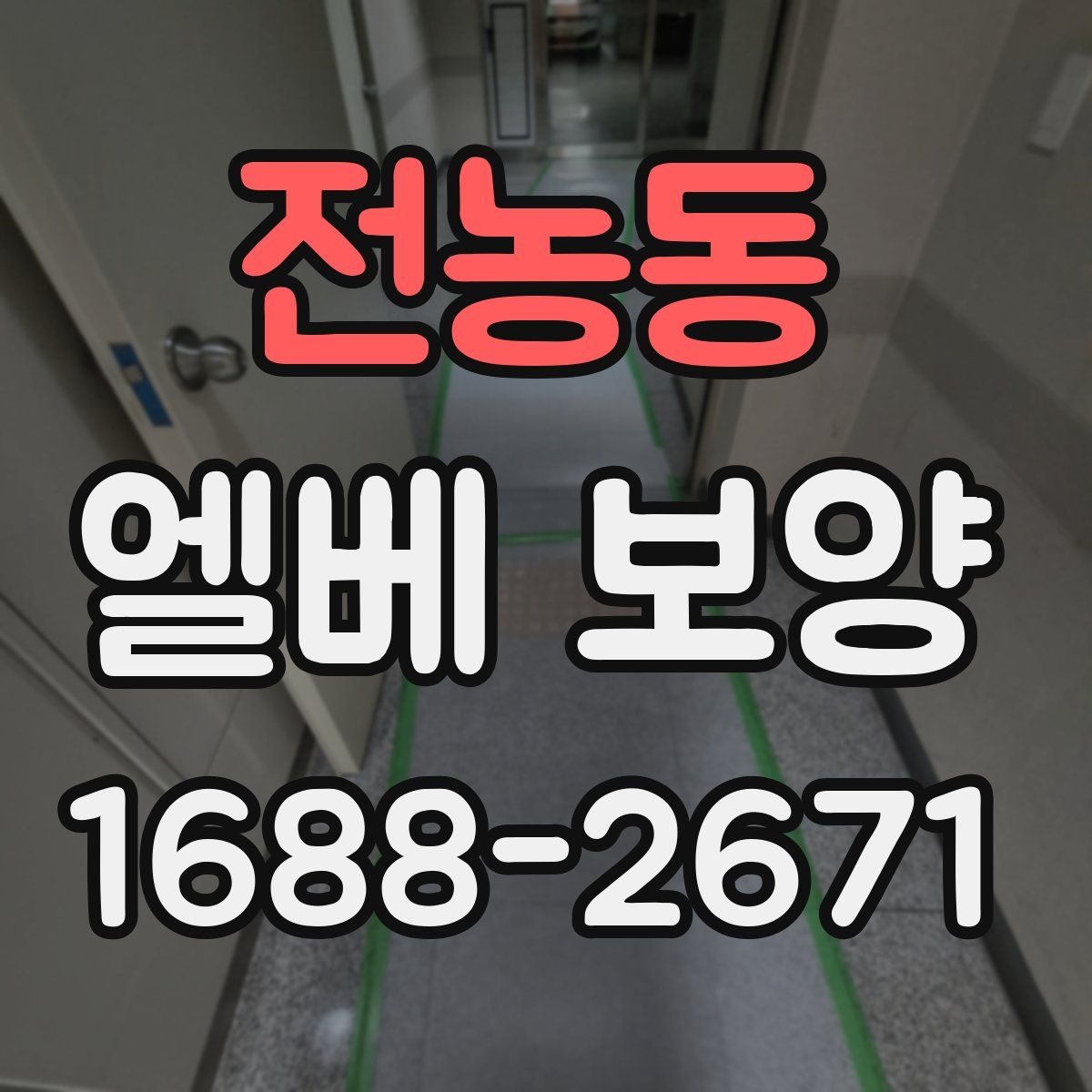 전농동 엘베 보양