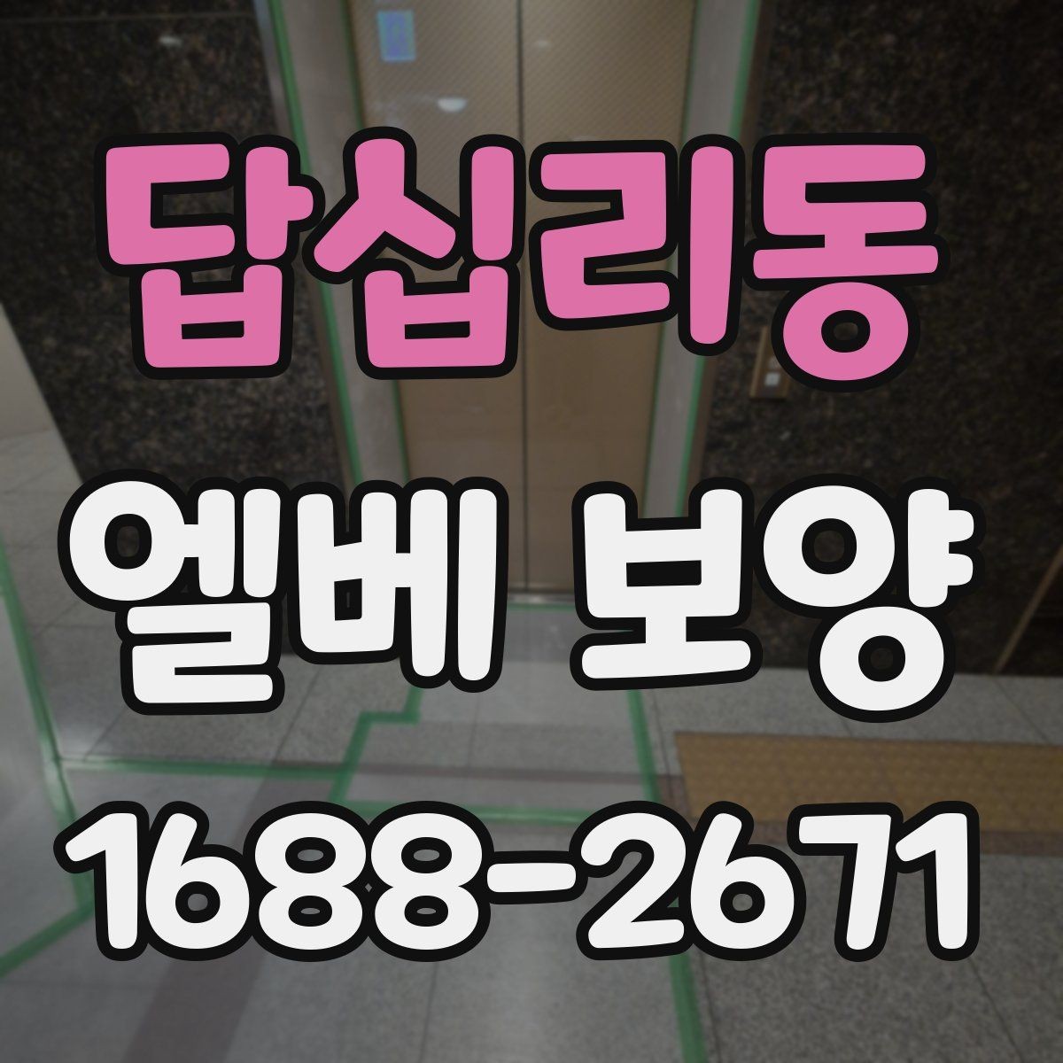 답십리동 엘베 보양 공용 승강기 사용 전 점검할 부분