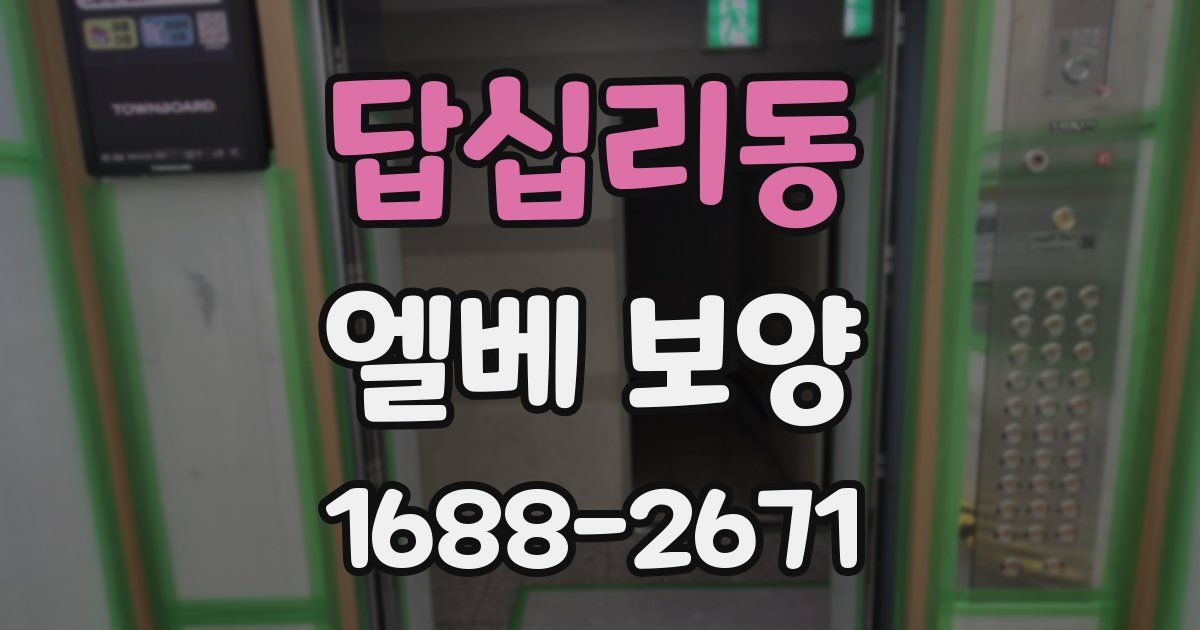 답십리동 엘베 보양