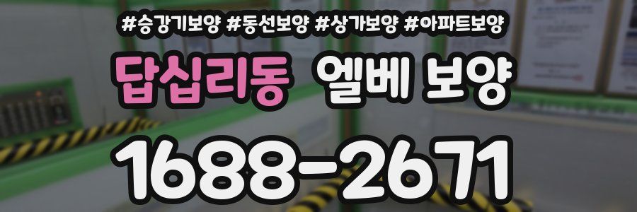답십리동 엘베 보양
