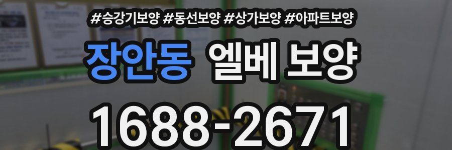 장안동 엘베 보양