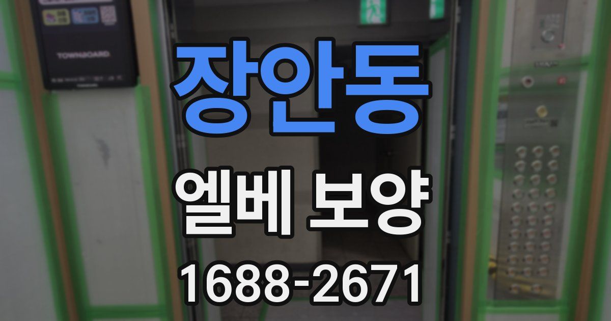 장안동 엘베 보양